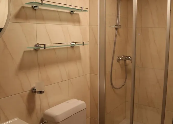 Sous Les Combles Sony 29 * Grimentz