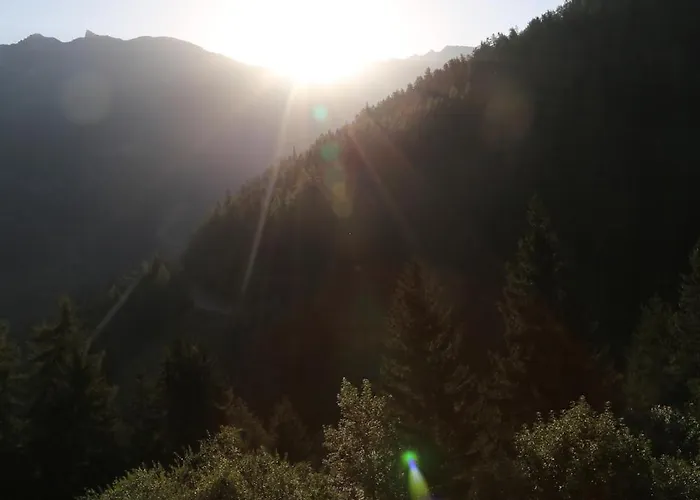 Sous Les Combles Sony 29