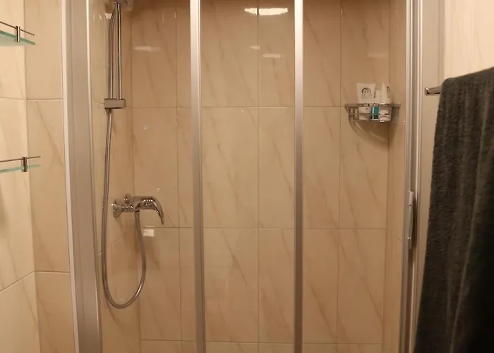 Sous Les Combles Sony 29 Daire